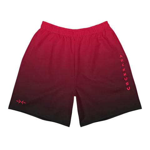 Athletic Long Shorts ~Gradient H2~