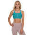 Padded Sports Bra - Premium Padded Sports Bras from Arekkusu-Store - Just $38! Shop now at Arekkusu-Store