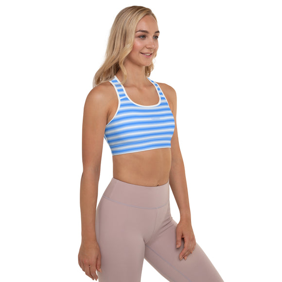 Padded Sports Bra - Premium Padded Sports Bras from Arekkusu-Store - Just $33! Shop now at Arekkusu-Store