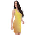 Bodycon Dresses - Arekkusu - Store