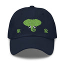 Classic Dad Hat - Arekkusu - Store