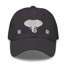 Classic Dad Hat - Arekkusu - Store