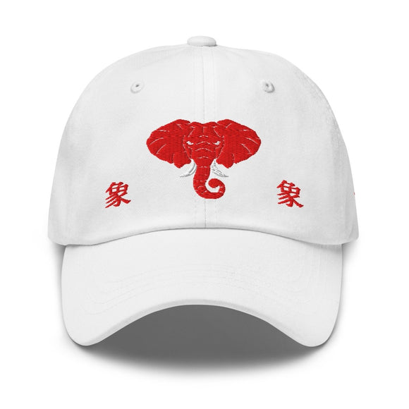 Classic Dad Hat - Arekkusu - Store