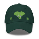 Classic Dad Hat - Arekkusu - Store