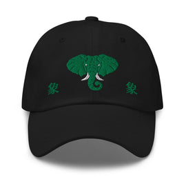 Classic Dad Hat - Arekkusu - Store