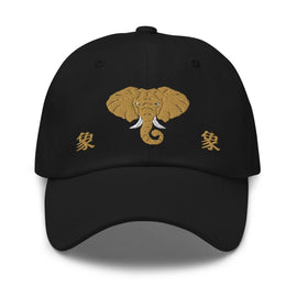 Classic Dad Hat - Arekkusu - Store