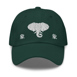 Classic Dad Hat - Arekkusu - Store