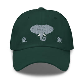 Classic Dad Hat - Arekkusu - Store