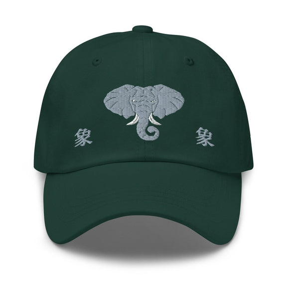 Classic Dad Hat - Arekkusu - Store