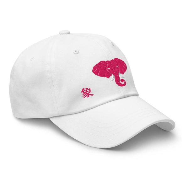 Classic Dad Hat - Arekkusu - Store