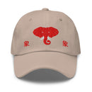 Classic Dad Hat - Arekkusu - Store
