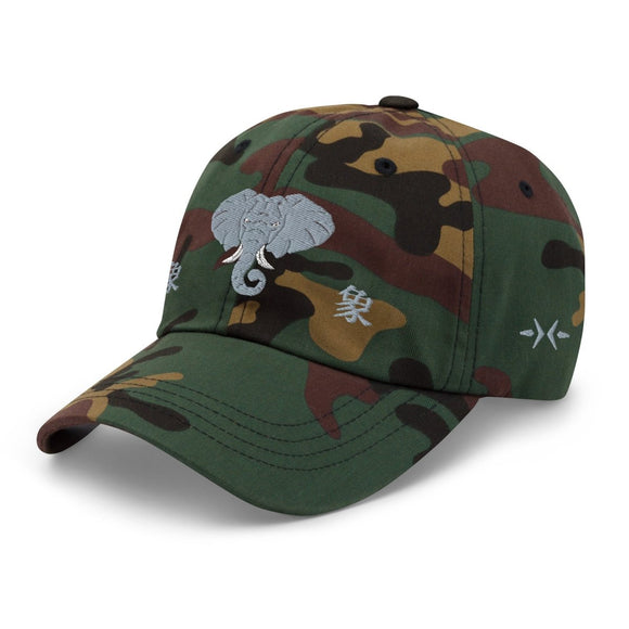 Classic Dad Hat - Arekkusu - Store