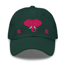 Classic Dad Hat - Arekkusu - Store