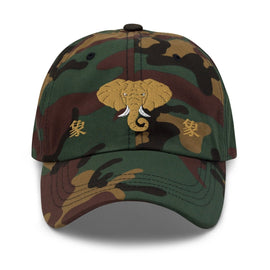 Classic Dad Hat - Arekkusu - Store