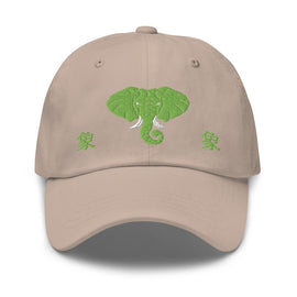 Classic Dad Hat - Arekkusu - Store