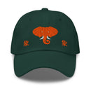 Classic Dad Hat - Arekkusu - Store