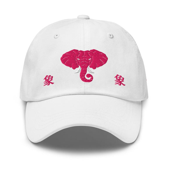 Classic Dad Hat - Arekkusu - Store