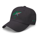 Classic Dad Hat - Arekkusu - Store