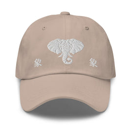Classic Dad Hat - Arekkusu - Store