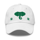 Classic Dad Hat - Arekkusu - Store