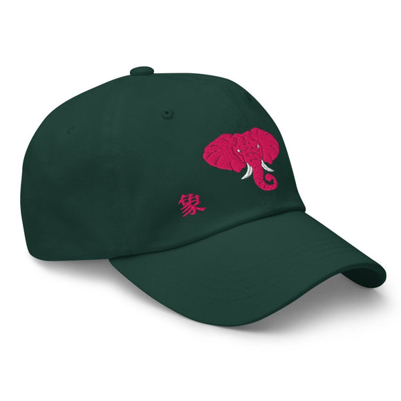 Classic Dad Hat - Arekkusu - Store
