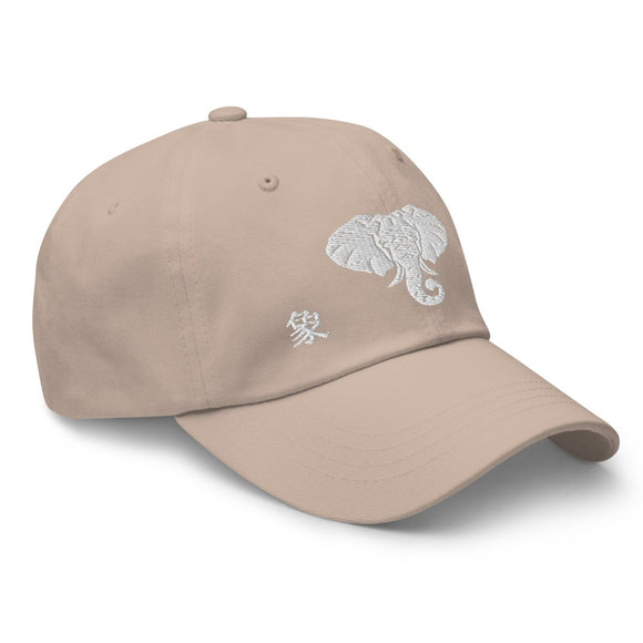 Classic Dad Hat - Arekkusu - Store