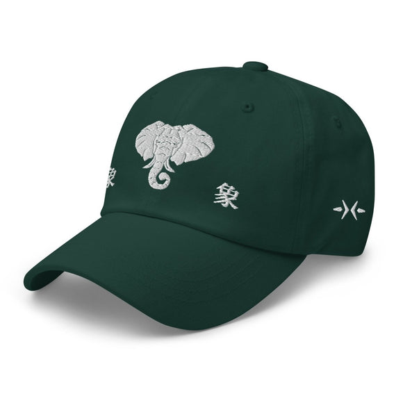 Classic Dad Hat - Arekkusu - Store