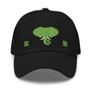 Classic Dad Hat - Arekkusu - Store