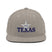 Classic Snapback - Arekkusu - Store