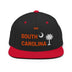 Classic Snapback - Arekkusu - Store