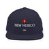 Classic Snapback - Arekkusu - Store