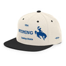 Classic Snapback - Arekkusu - Store