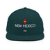 Classic Snapback - Arekkusu - Store