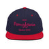 Classic Snapback - Arekkusu - Store