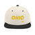 Classic Snapback - Arekkusu - Store