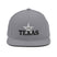 Classic Snapback - Arekkusu - Store