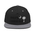 Classic Snapback - Arekkusu - Store