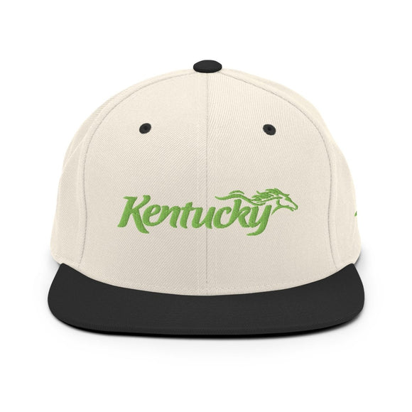 Classic Snapback - Arekkusu - Store