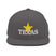 Classic Snapback - Arekkusu - Store