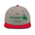 Classic Snapback - Arekkusu - Store