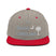 Classic Snapback - Arekkusu - Store