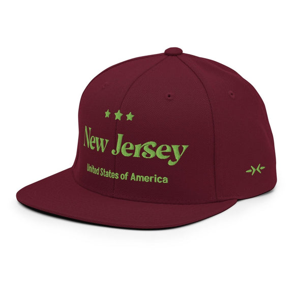 Classic Snapback - Arekkusu - Store