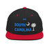 Classic Snapback - Arekkusu - Store