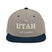Classic Snapback - Arekkusu - Store