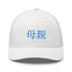 Classic Trucker Cap - Arekkusu - Store