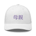 Classic Trucker Cap - Arekkusu - Store