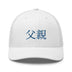 Classic Trucker Cap - Arekkusu - Store