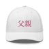 Classic Trucker Cap - Arekkusu - Store