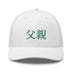 Classic Trucker Cap - Arekkusu - Store