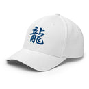 Closed - Back Structured Cap - Arekkusu - Store